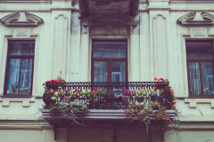 architecture-balcony-beautiful-flowers-building-297497-scaled