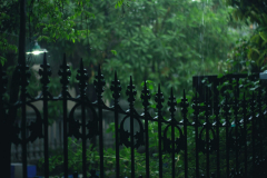 black-metal-gate-with-bamboo-grasses-outside-698772-scaled